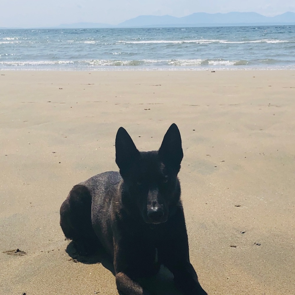 Meet your Posher, Lisa